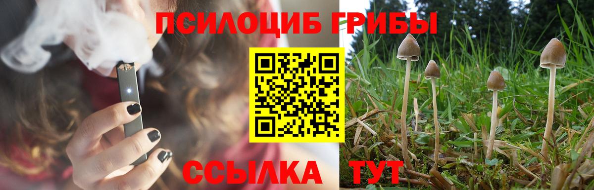 Псилоцибиновые грибы прущие грибы  Вход с VPN  Тавда  Галлюциногенные грибы MAGIC MUSHROOMS 